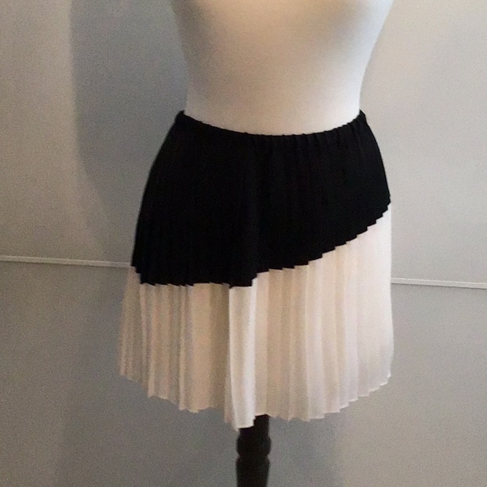 Elegant Black and White Pleated Skirt